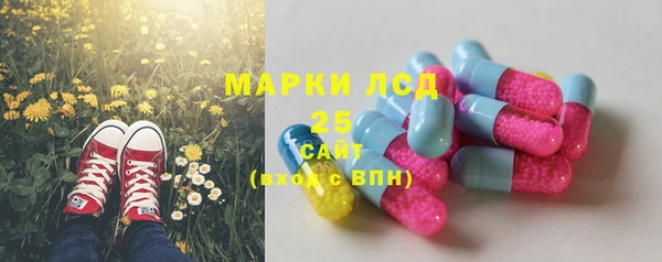 гидра Белокуриха