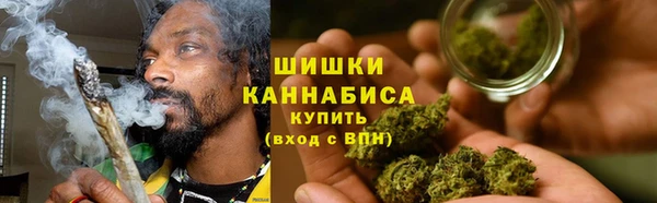 гидра Белокуриха