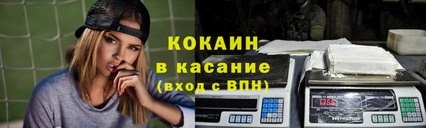 гидра Белокуриха