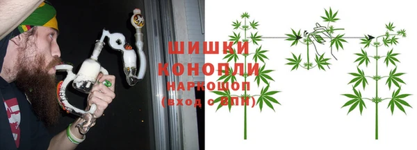 гидра Белокуриха