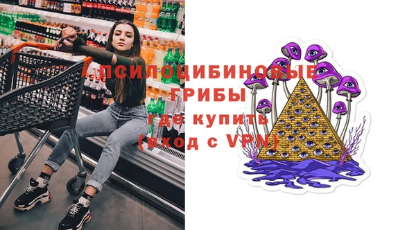 гидра Белокуриха