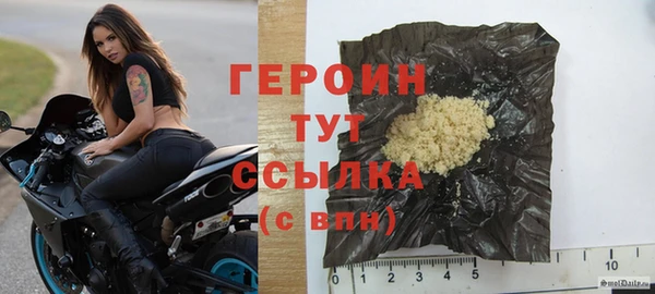 гидра Белокуриха