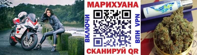 Шишки марихуана OG Kush Сухой Лог